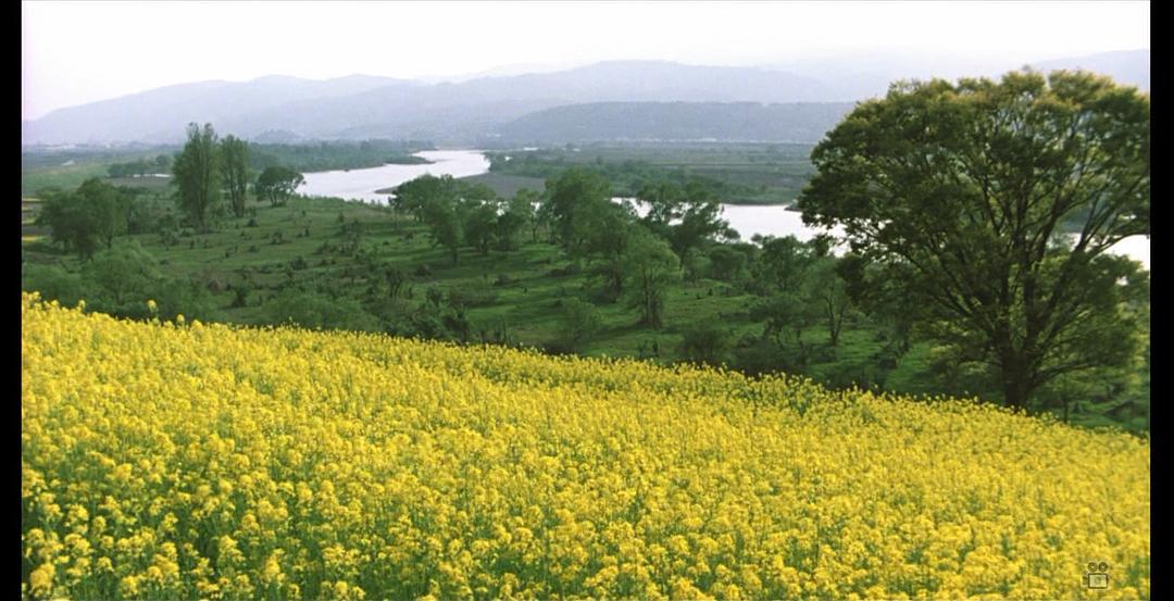 阿弥陀堂讯息(2002)的剧照 阿弥陀堂讯息(2002)的剧照