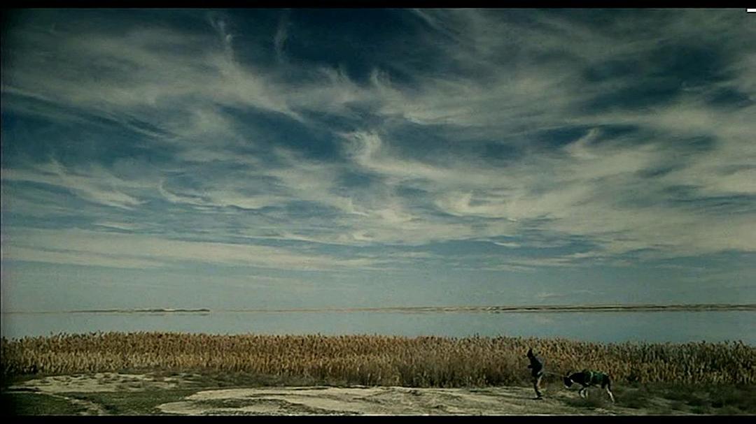 边境布鲁斯(2009)的剧照 边境布鲁斯(2009)的剧照