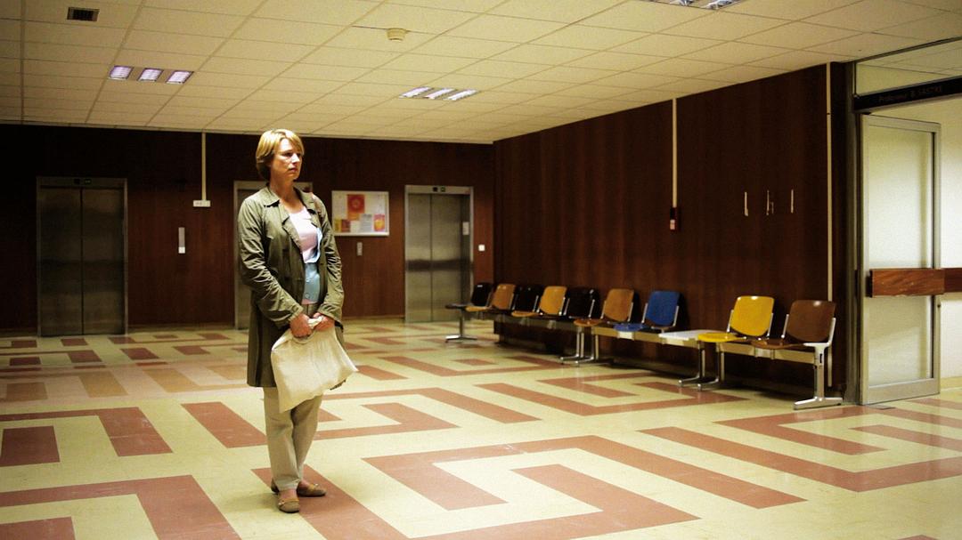 寻找西蒙(2011)的剧照 寻找西蒙(2011)的剧照