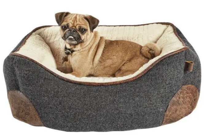 狗窝种类这么多，主人怎么选？