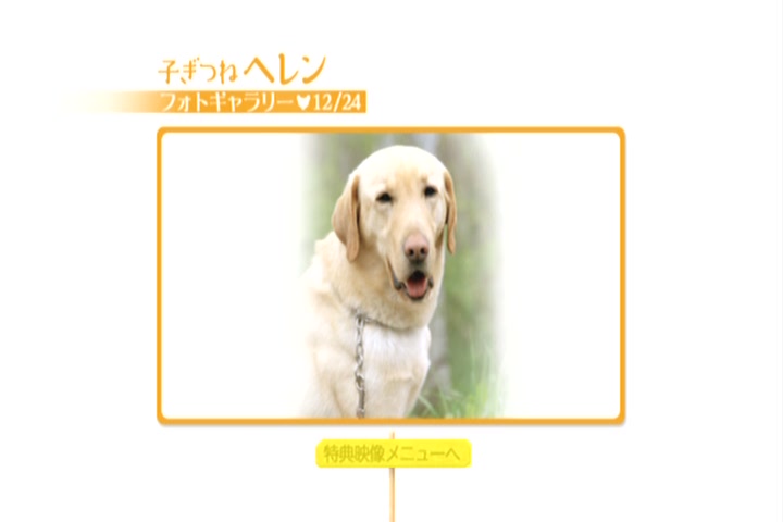 子狐物语(2006)的剧照 子狐物语(2006)的剧照