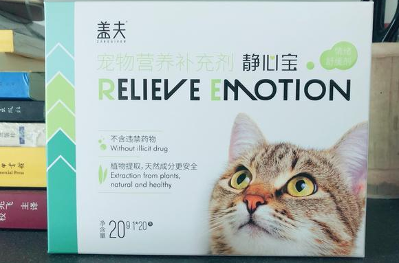 盖夫专注猫咪应激反应，静心宝安抚紧张情绪