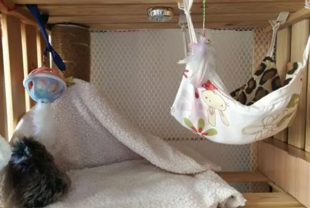 怎样给猫咪选择一个合适的猫窝呢？