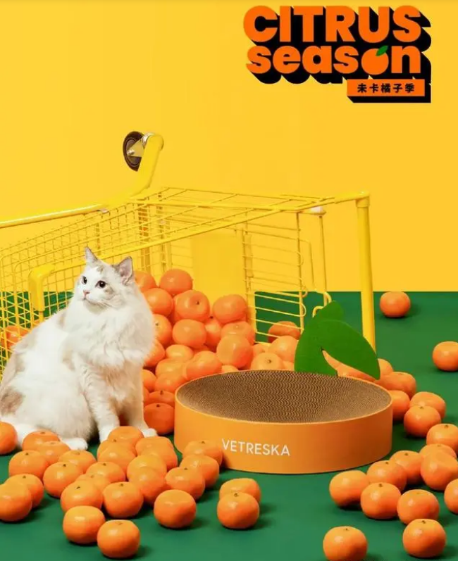 「未卡」创始人Donald Kng：“以人为本”，屹立宠物时尚潮头