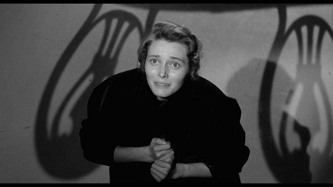 登龙一梦(1957)的剧照 登龙一梦(1957)的剧照