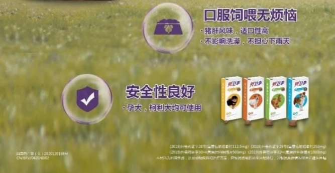 狗狗身上有蜱虫怎么去除?新一代“季驱型”贝卫多助力长效根除! 狗狗身上有蜱虫怎么去除?新一代“季驱型”贝卫多助力长效根除!