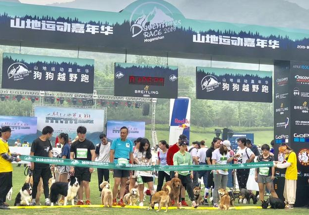 盖夫携Daventures Race山地嘉年华，户外运动会看狗狗肆意撒欢 