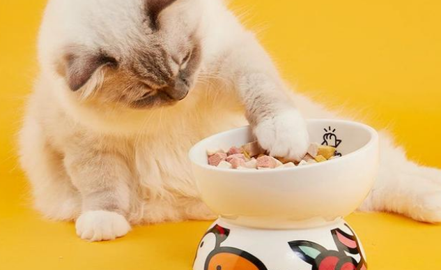 肉垫：产品覆盖3000+宠物店，用“无忧精养”思维解决养宠难题