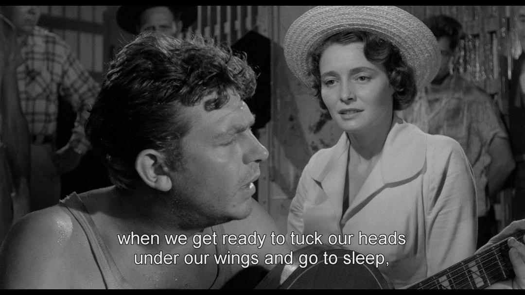 登龙一梦(1957)的剧照 登龙一梦(1957)的剧照