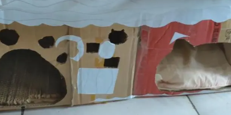 天气转凉，简单几步做个猫窝给毛孩子