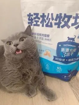 小壳轻松牧场,让你的猫咪轻松成长 小壳轻松牧场,让你的猫咪轻松成长