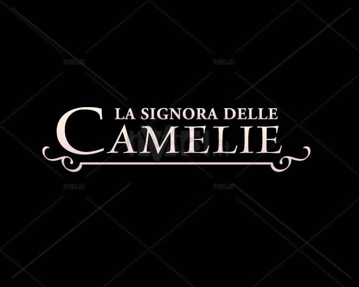 茶花女(2005)的剧照 茶花女(2005)的剧照