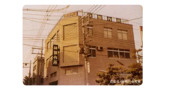 58载的日本多格漫是如何成长起来的