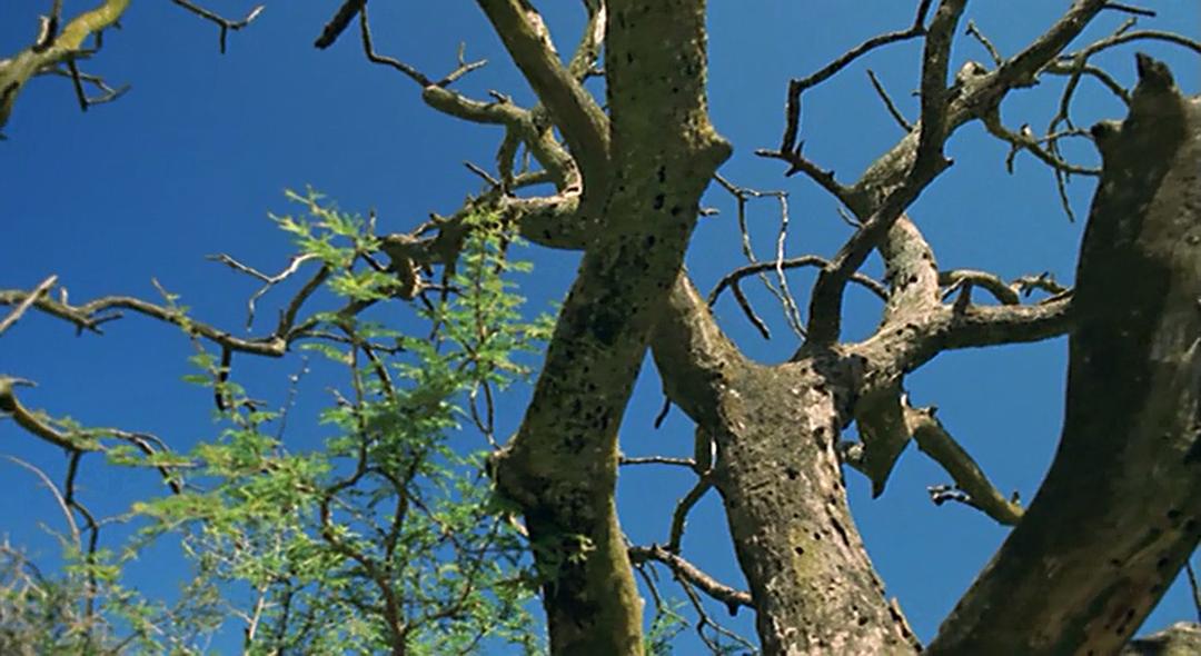 自由(2001)的剧照 自由(2001)的剧照