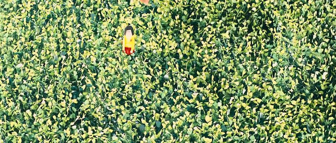 香草(2007)的剧照 香草(2007)的剧照