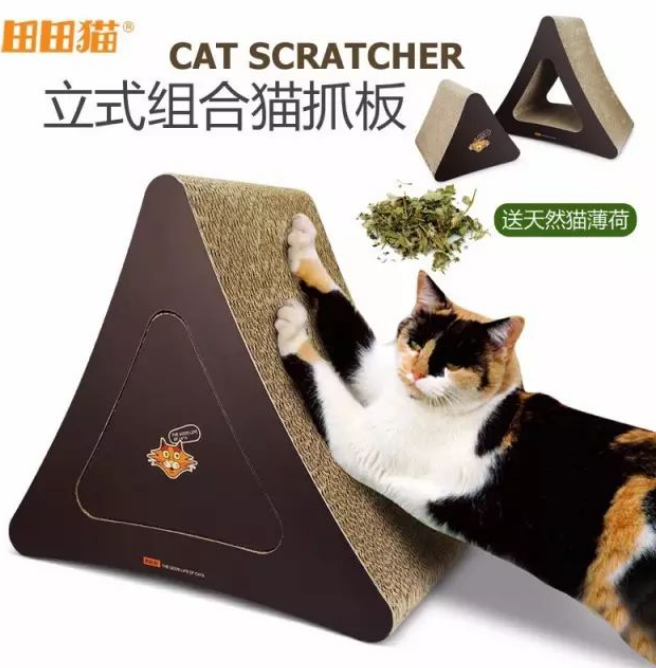 田田猫邀您参与深圳国际宠物展...