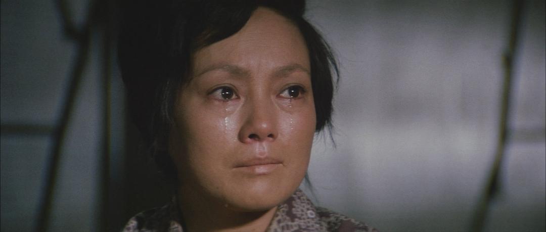 飘舞的军旗下(1972)的剧照 飘舞的军旗下(1972)的剧照