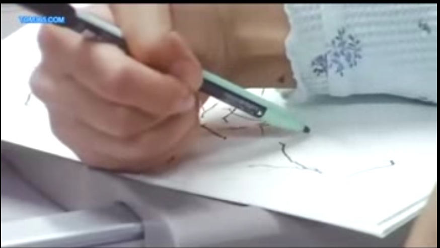 一公升的眼泪(2005)的剧照 一公升的眼泪(2005)的剧照