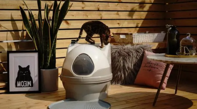 猫洁易智能猫厕所让你不用再碰触到喵的大小便，从此解放双手！