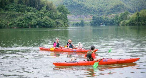 盖夫×爱宠游，携宠泛舟九龙湖！