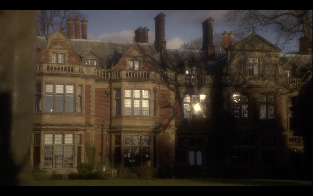 鸽群中的猫(2008)的剧照 鸽群中的猫(2008)的剧照