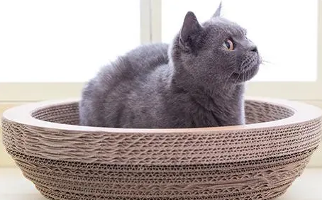 猫窝什么牌子好？怎么挑选猫咪喜欢的猫窝？