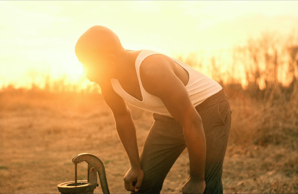 我的外甥艾默特(2017)的剧照 我的外甥艾默特(2017)的剧照