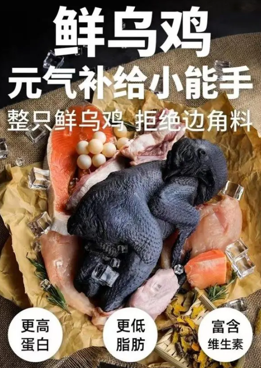 比瑞吉元气乌鸡鲜肉全价粮,引领宠粮“新风尚” 比瑞吉元气乌鸡鲜肉全价粮,引领宠粮“新风尚”