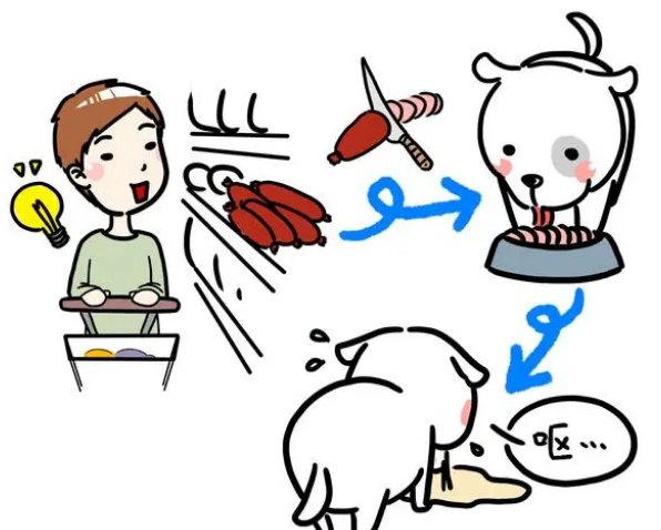 换粮不慎可能会让狗子腹泻!看完涨知识 换粮不慎可能会让狗子腹泻!看完涨知识