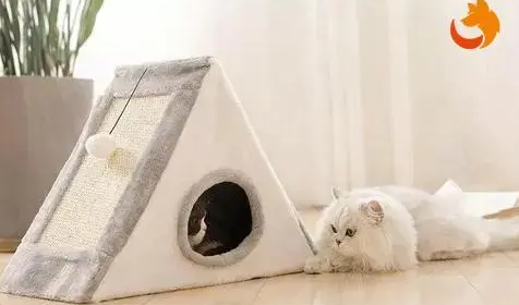 挑选不同材质猫窝的几个建议，如何购买合适的猫窝？