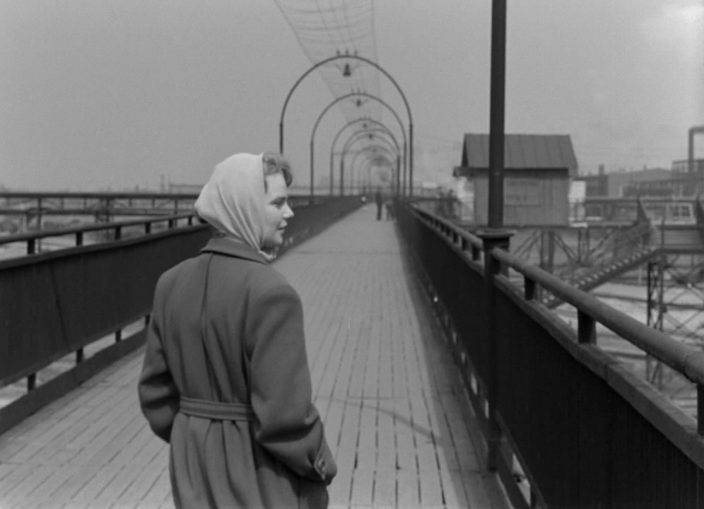 滨河街之春(1956)的剧照 滨河街之春(1956)的剧照