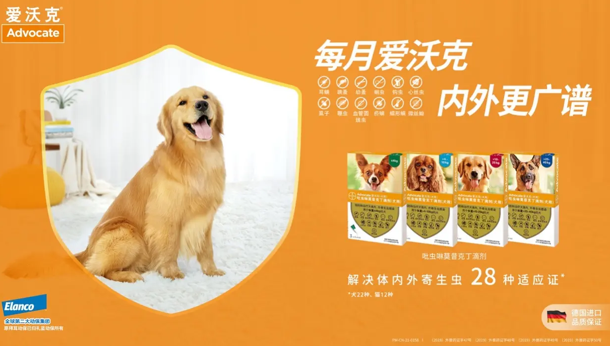 狗狗驱虫多久一次？爱沃克每月一次高效驱杀呵护爱宠健康