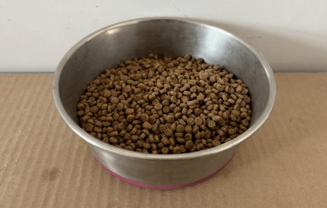 幼猫猫粮怎么选?快来看看nulo吧! 幼猫猫粮怎么选?快来看看nulo吧!