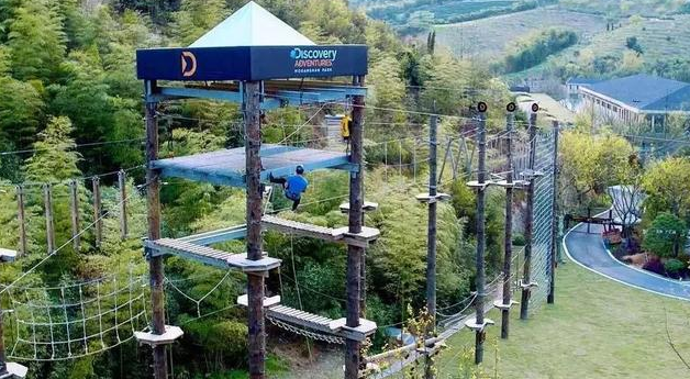 盖夫携Daventures Race山地嘉年华，户外运动会看狗狗肆意撒欢 