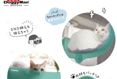 宠物圈 “多格漫”专场｜原来宠物的东西这么好玩，吸盘眺望台是个什么东东？