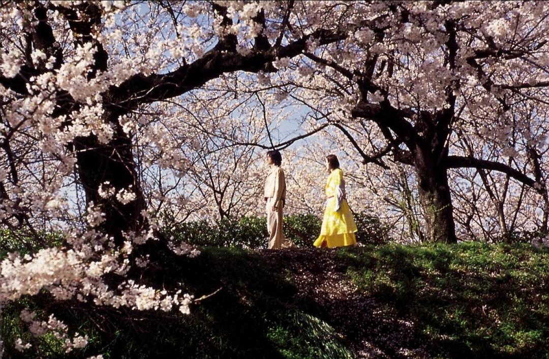 玩偶(2002)的剧照 玩偶(2002)的剧照