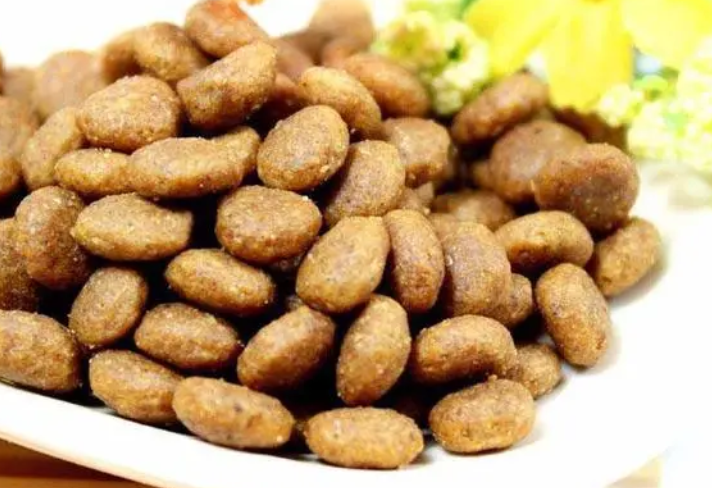 给狗狗喂食要注意了，要用合适的狗粮喂养