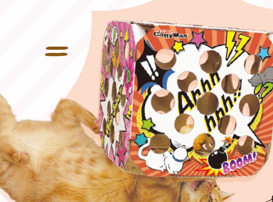 宠物圈 “多格漫”专场｜原来宠物的东西这么好玩，吸盘眺望台是个什么东东？