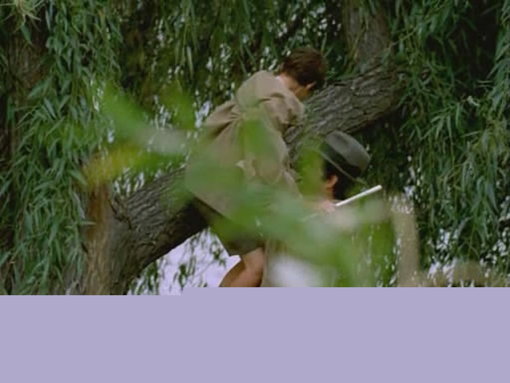 伊普之死(1972)的剧照 伊普之死(1972)的剧照