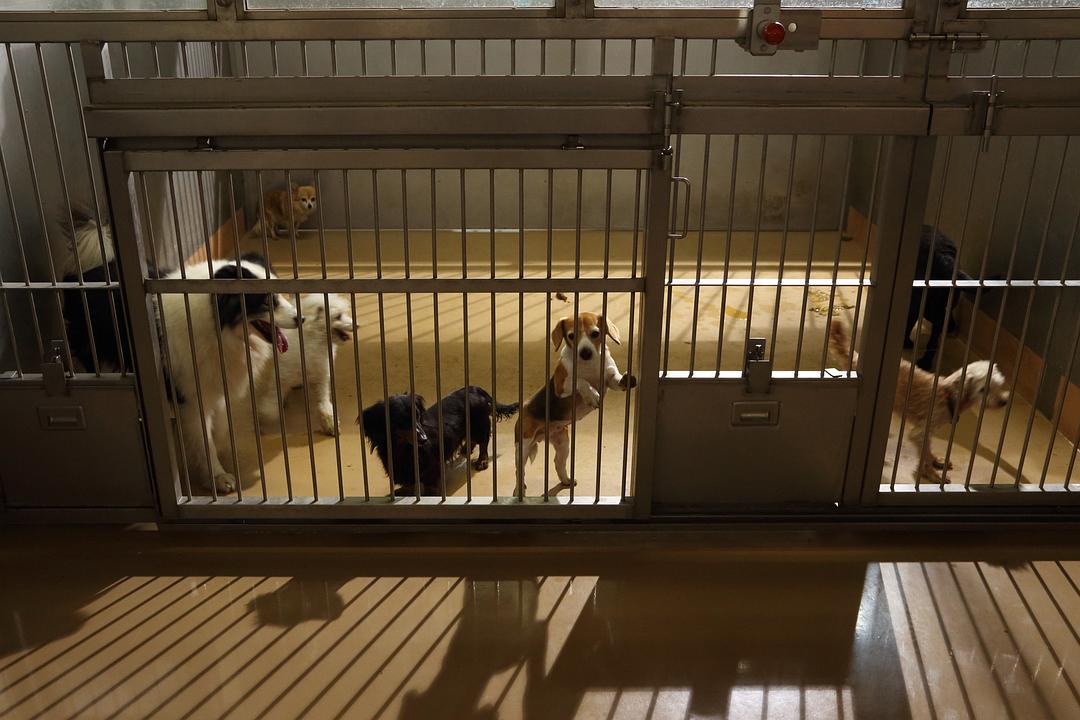 为了这条街的生命(2016)的剧照 为了这条街的生命(2016)的剧照