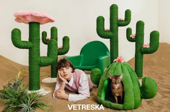 子公司获5000万美元战略投资，未卡开启宠物食品赛道新征程