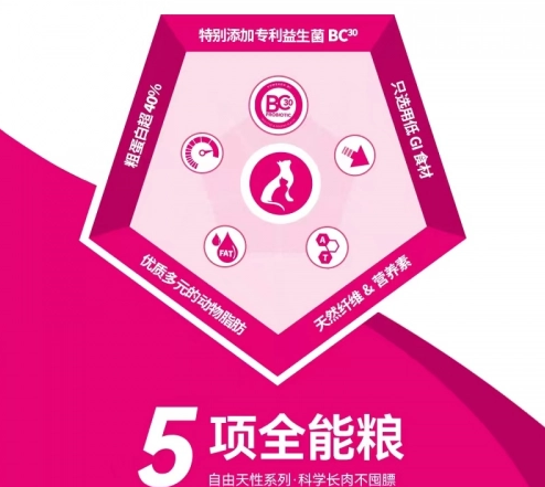 猫咪上火真焦心，nulo助力铲屎官破难题