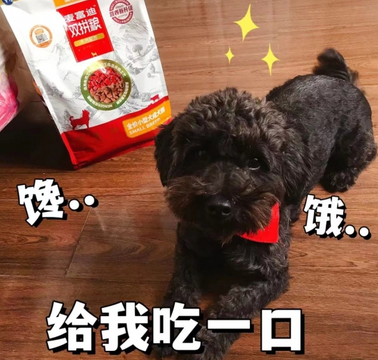 挑食怪必备 麦富迪牛肉双拼粮2.0时代来了