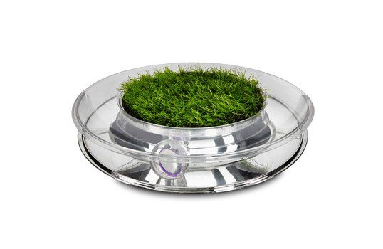 Petstages轨道玩具 让猫咪亲近自然