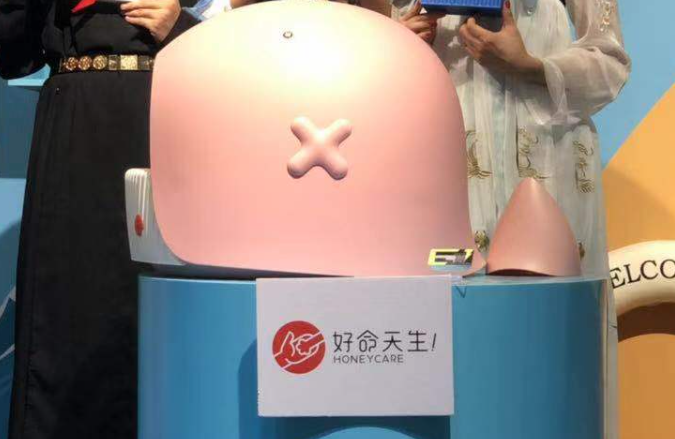 宠物行业的产品—好命天生如何玩转造物节？