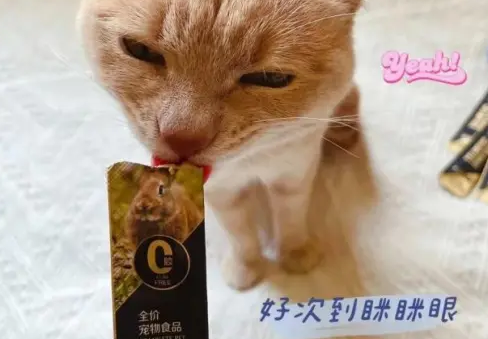 可以当做主食的0胶猫条，富粒滋你get了嘛！