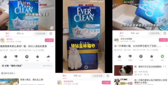 与年轻铲屎官“玩”在一起,铂钻猫砂的趣味化营销品效双赢 与年轻铲屎官“玩”在一起,铂钻猫砂的趣味化营销品效双赢