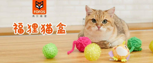 爱宠游 x FOFOS 吸猫屋 | 没什么是撸猫解决不了的！