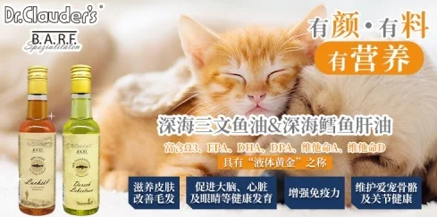 德国克劳德医生参加长城大学宠物国际论坛 德国克劳德医生参加长城大学宠物国际论坛