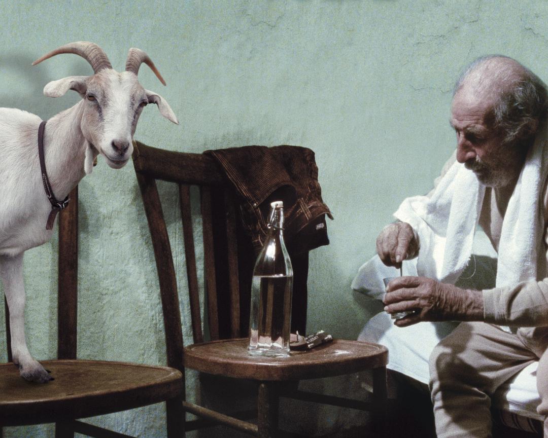 四次(2010)的剧照 四次(2010)的剧照